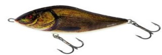 0001_Salmo_Slider_10_cm_[Supernatural_Tench].jpg